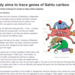 Study Aims to Trace Genes of Sahtu Caribou