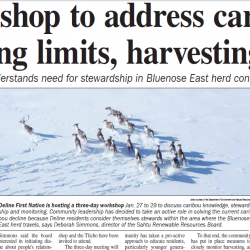 Workshop to address caribou hunting limits, harvesting
