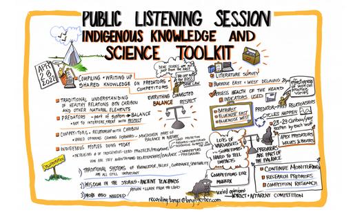 22-04-28 Délı̨nę 2021 PLS - Indigenous Knowledge and Science Toolkit Graphic Recording Approved