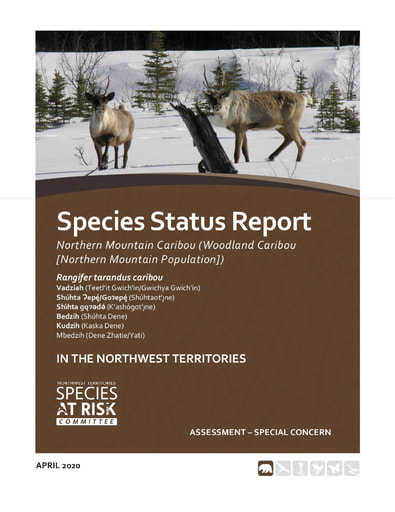 20-04 NWT Mountain Caribou Status Report-Assessment