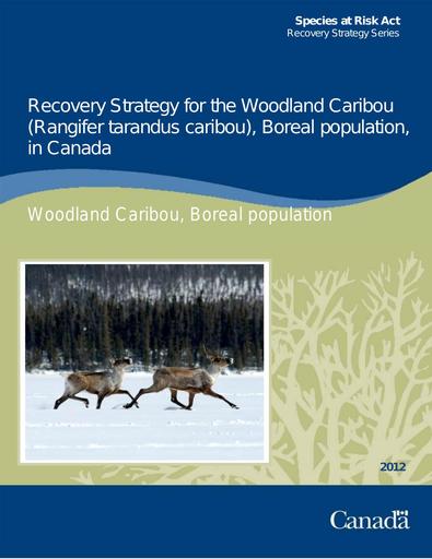 Recovery Strategy for the Woodland Caribou (Rangifer tarandus caribou), Boreal population, in Canada