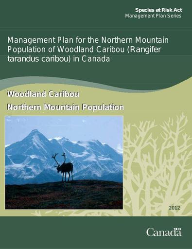 Management Plan for the Northern Mountain Population in Canada