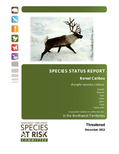 12-12 NWT Boreal Caribou Status Report-Assessment