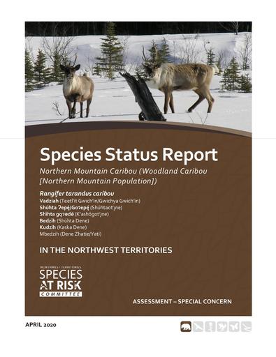 Species Status Report Northern Mountain Population
